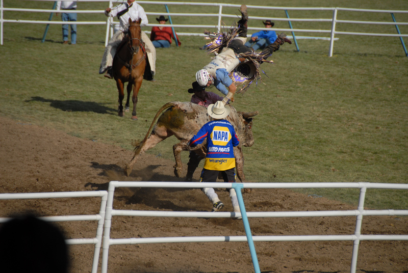Bland hästar indianer cowboys10