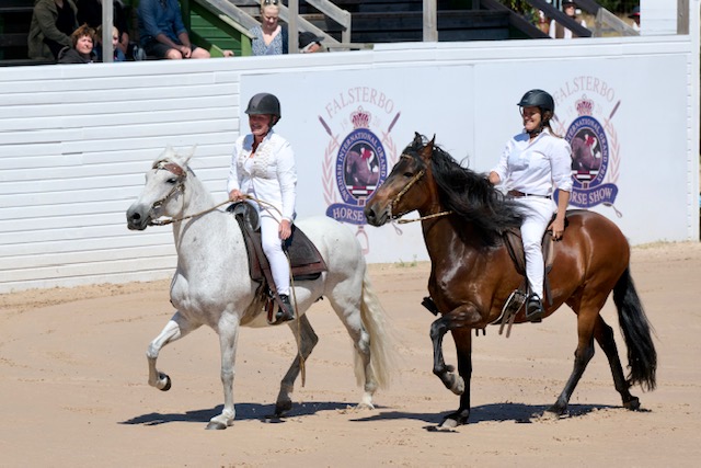 Falsterbo horse show 2