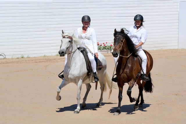 Falsterbo horse show 3